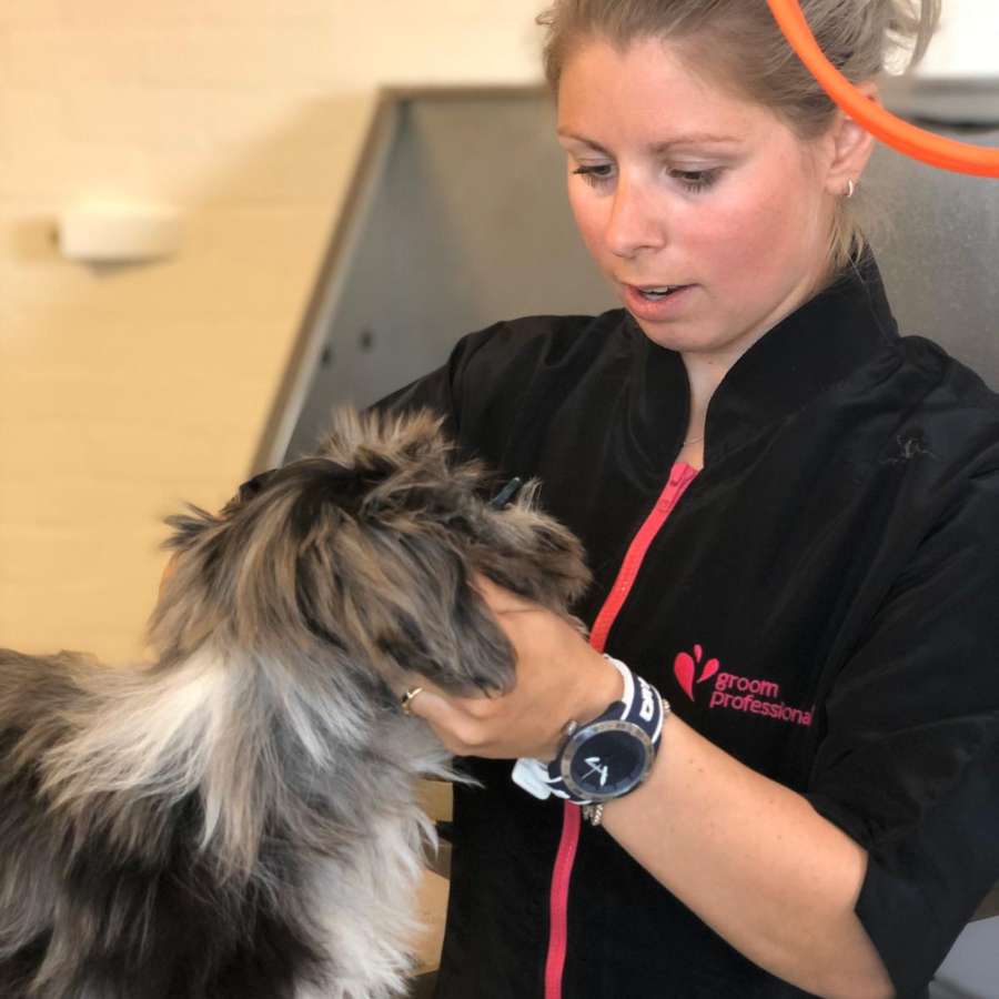 Kim met hond in hondensalon